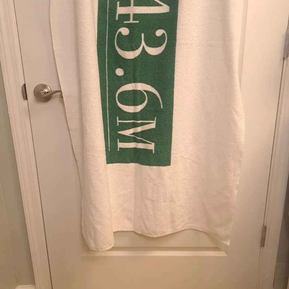 Oversized Beach Towel Lottery Money Print